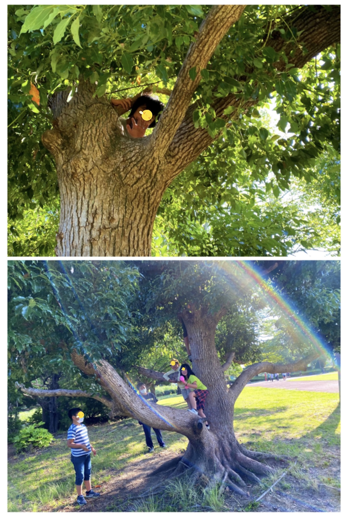 50CAD472-8C15-4637-96E6-8B1E0A1258F1