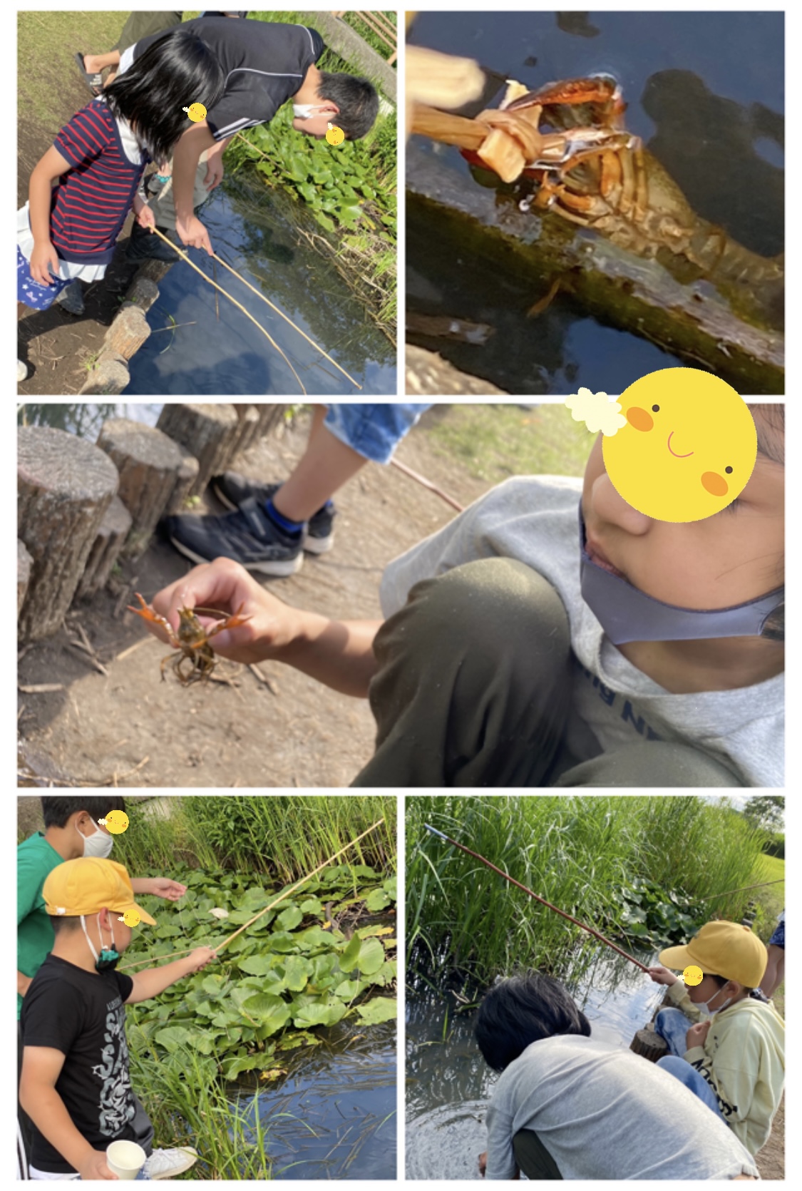 96EB4020-3A0F-48E1-AA25-0B0E787948DD