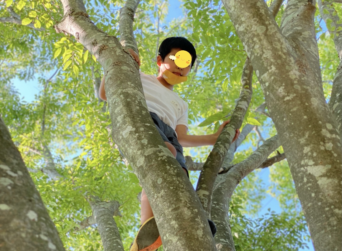 B1ECBE77-DD13-4FB6-AA8D-7321EBB35E4D