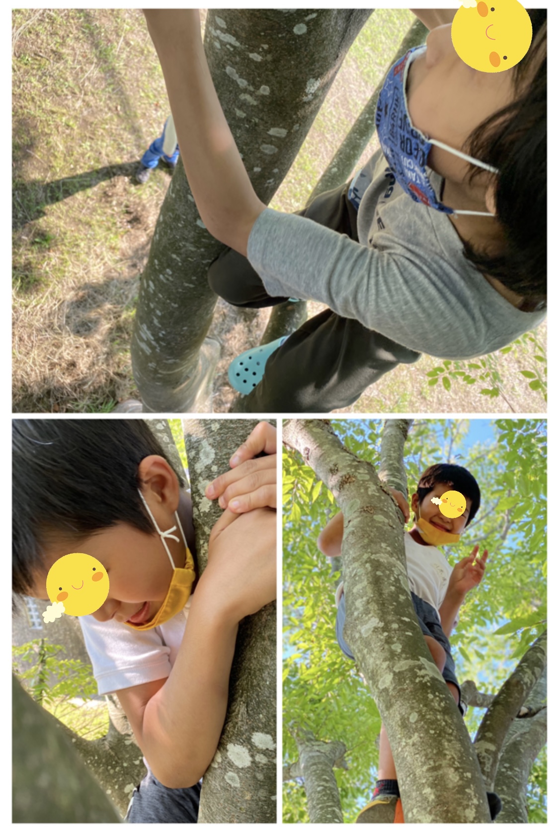 BFF3DD15-4D97-40B5-B3BF-47E8617C3729