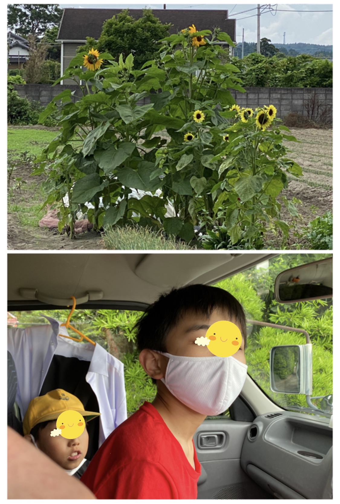 D99DB22D-8B92-4AB8-91FE-74A98050037D