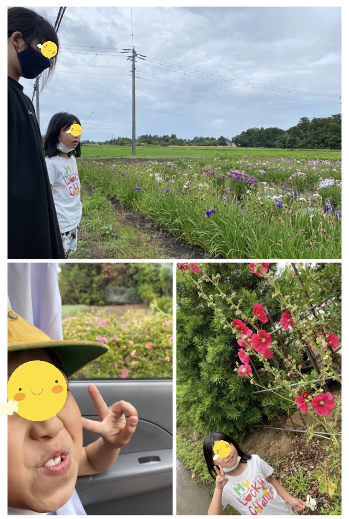 F6909A3D-57B4-43B4-A970-511FC7E59052