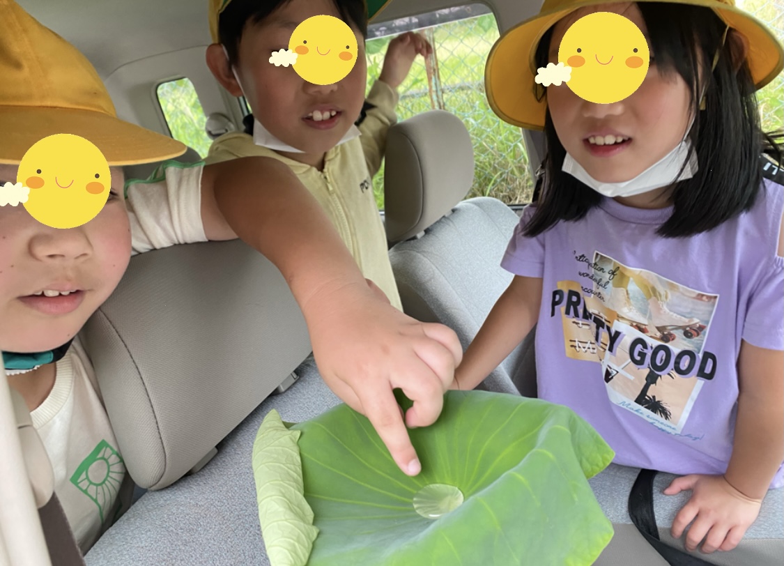 131FB230-E7F3-4B7C-A210-CFE656017E6B