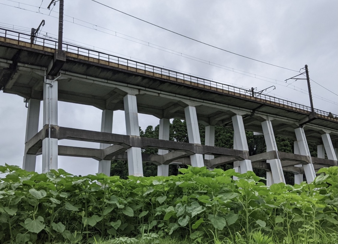 20E7E5CC-1AAF-4801-BE99-3556E7329F21