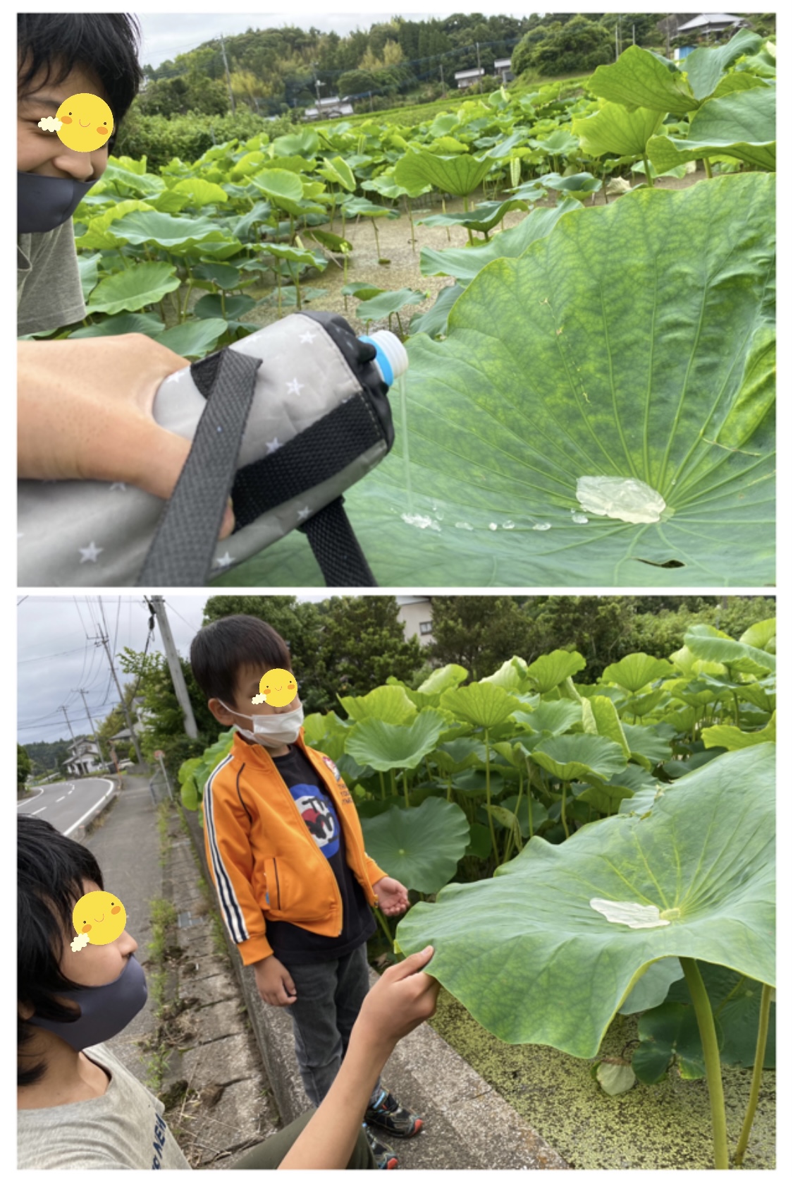 32D65EF8-11B0-45A8-8BA8-0619E07C4ECA