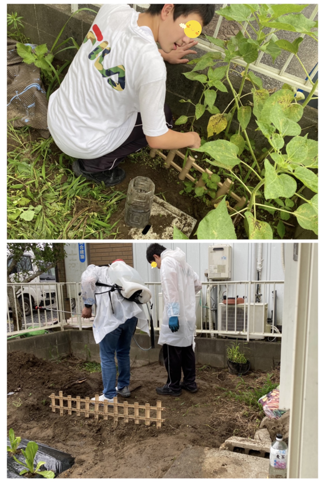 3E6E3187-40D2-49F9-884F-08E73CA0D7F1