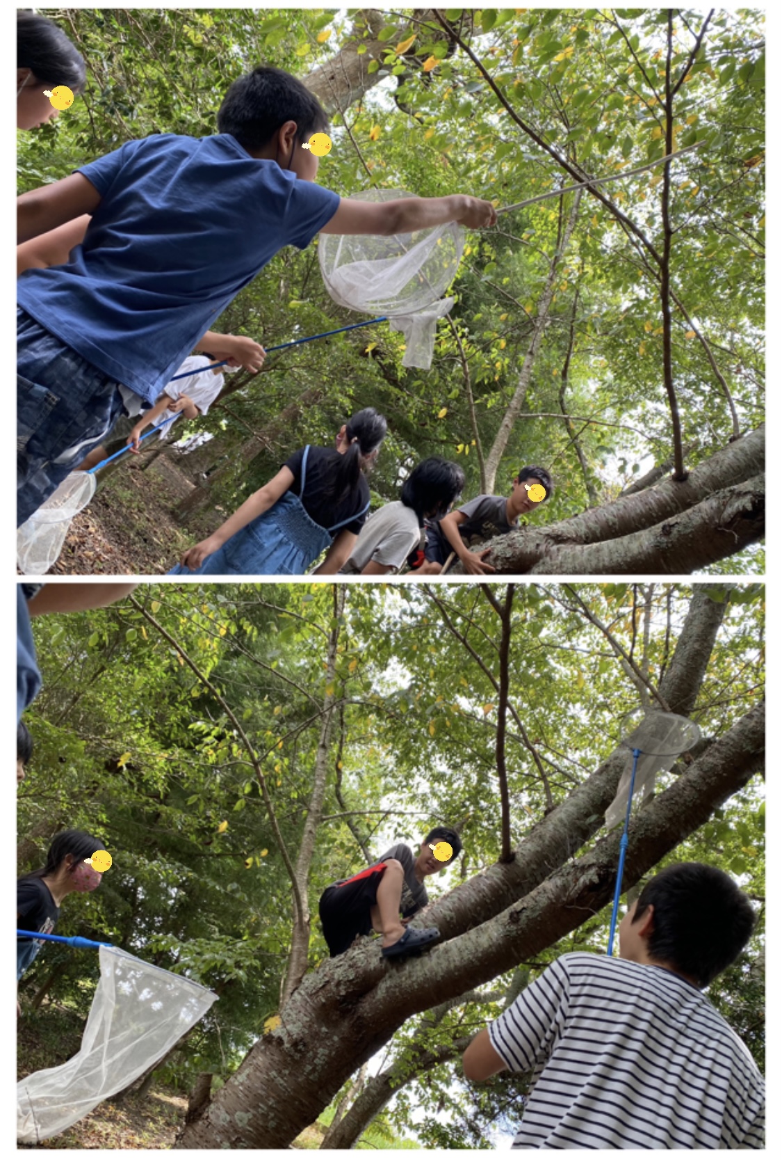 42D88BEB-7686-41FB-BB74-6729FC1568BE