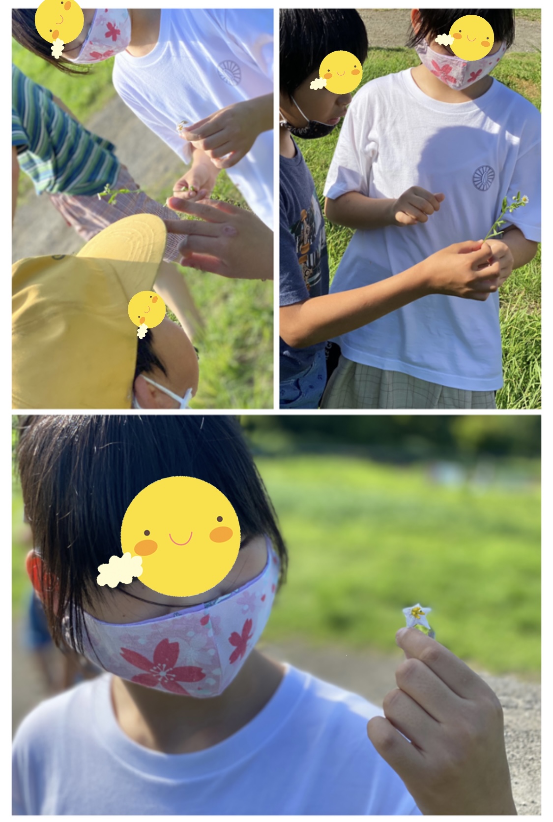 42E2AA81-E18E-4602-AABD-3F46E4305E99