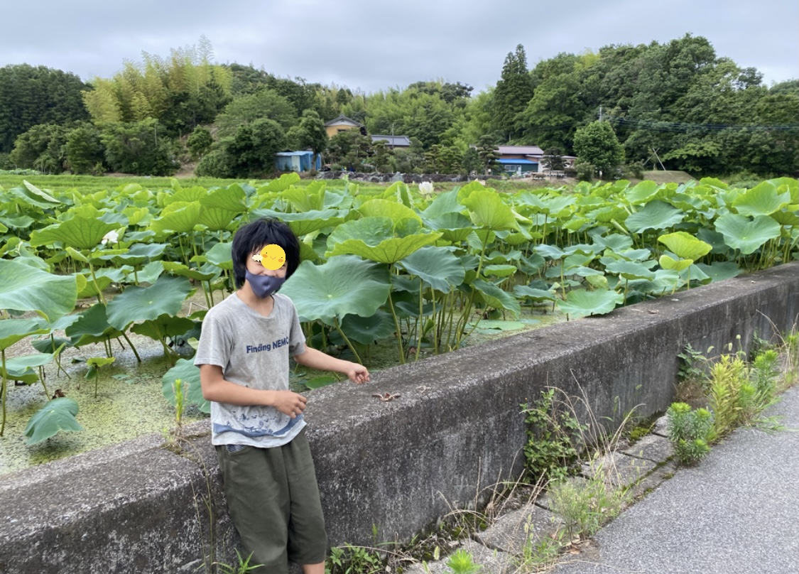 54FFBF90-D815-4D68-94B8-7BE89DC90350