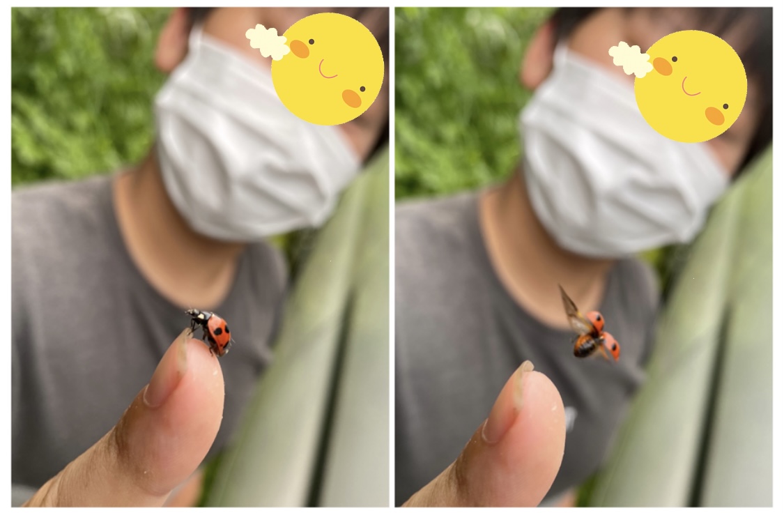 73C865FB-E08B-4AB2-9759-C97A69567E2E