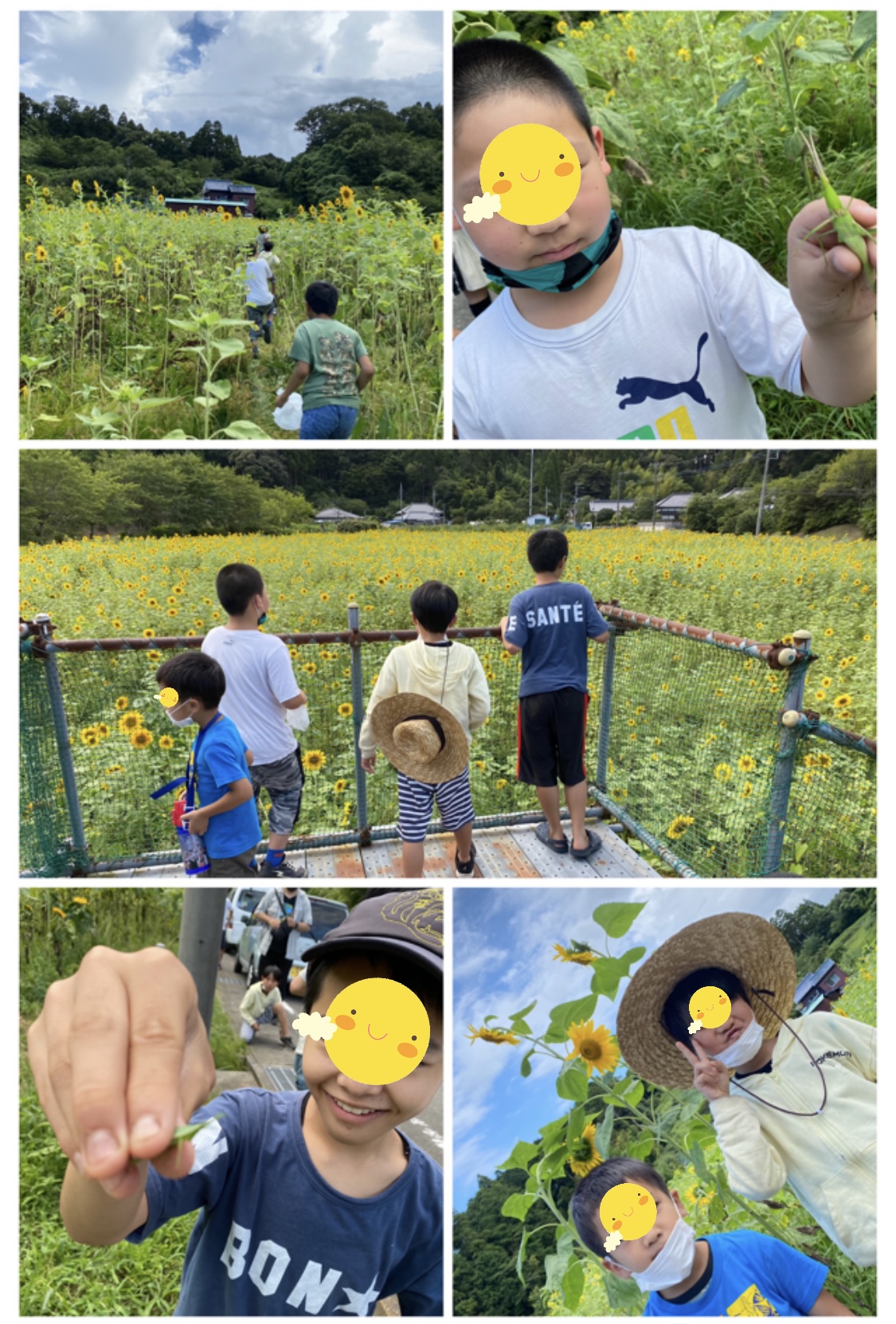 804A9747-6419-44C7-947F-C89EBE869911