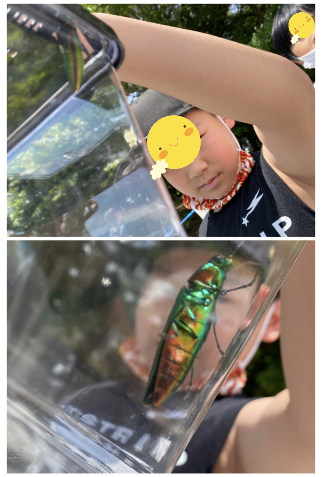 973132F2-A2E2-428E-A19E-F8E5C2B6411D