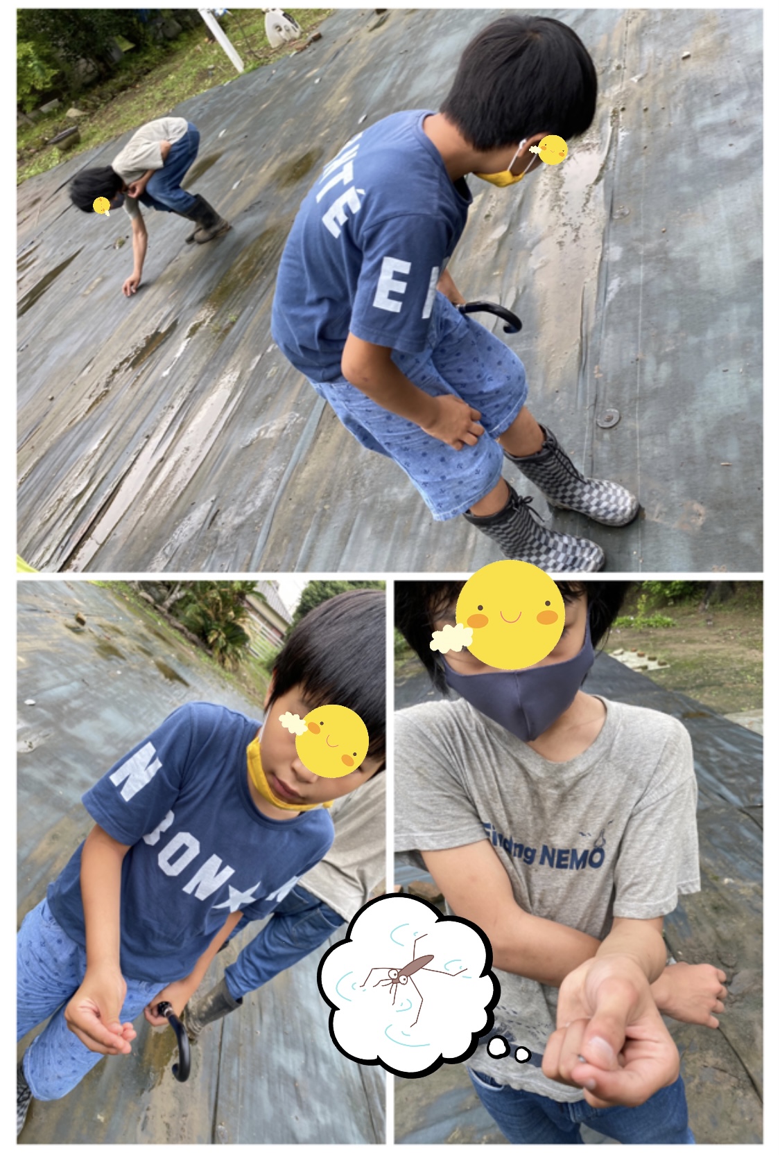 9D0A6560-B8C4-4E1D-B223-BC3205A4252C