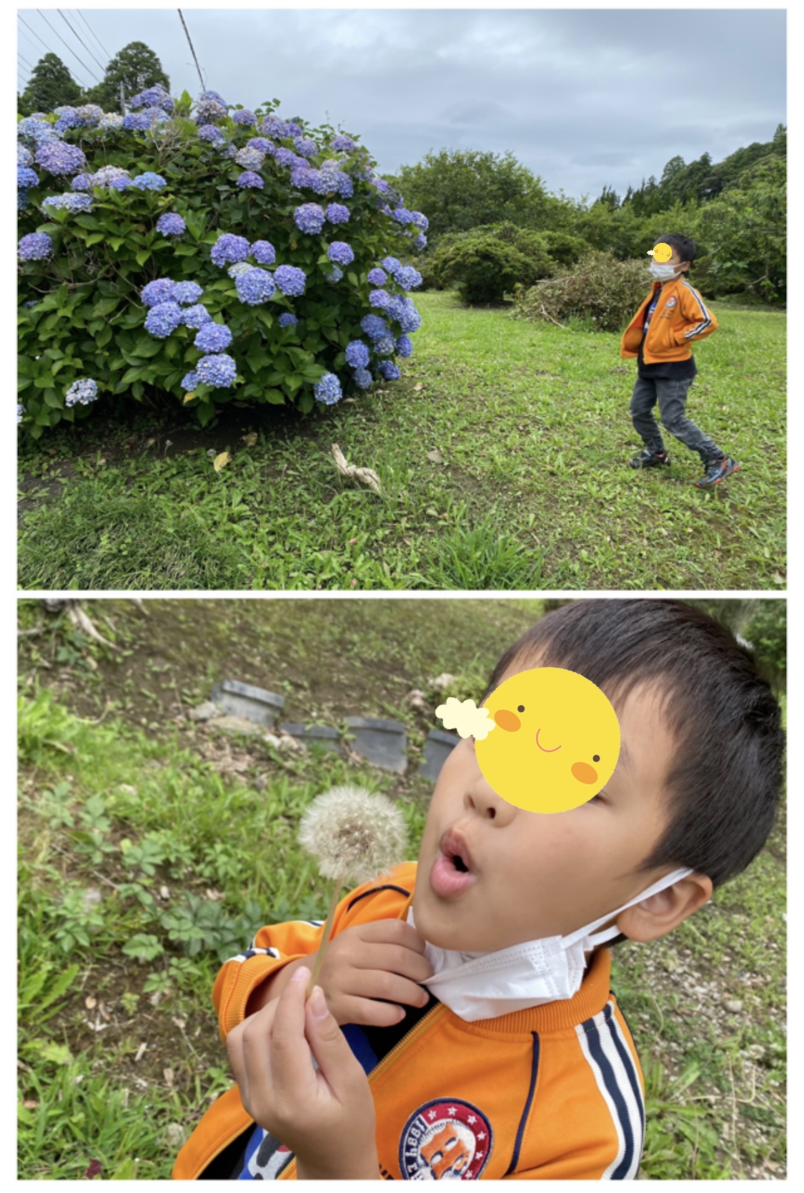 B90B2445-004D-45BA-89AB-58B842795231