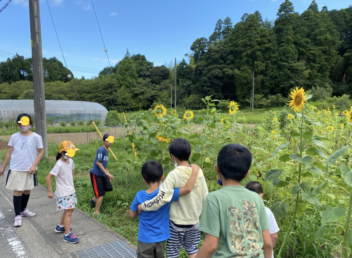 C373A8DD-0814-4350-86F5-E740E51F8404