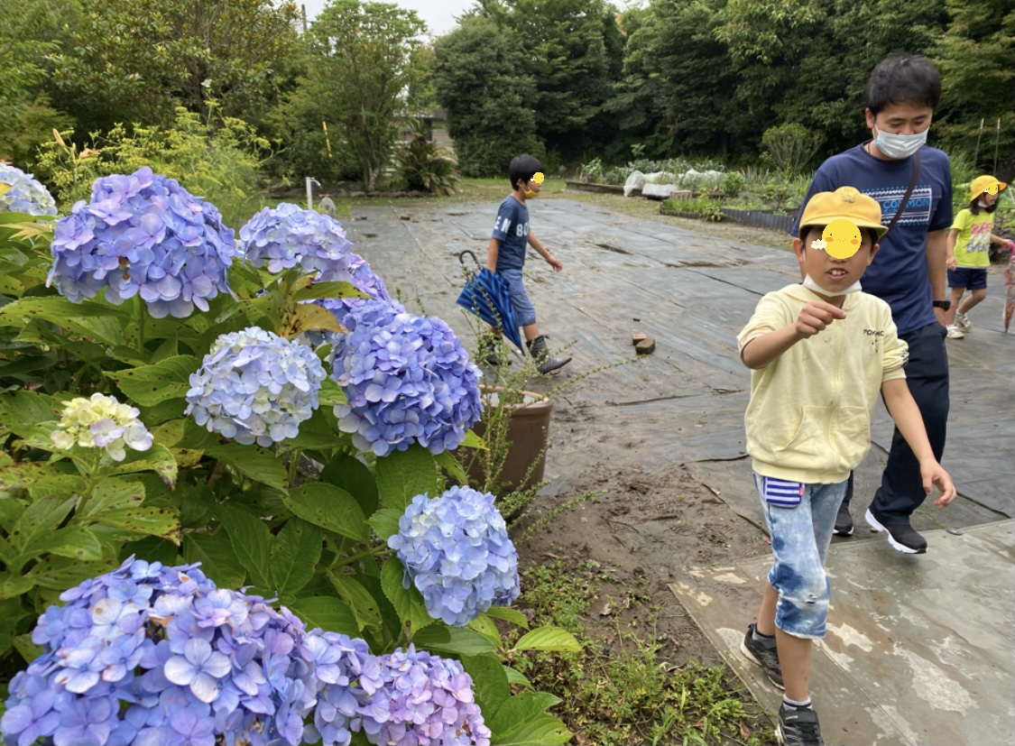 D1A345DB-BF7A-4B97-A16D-583A68C86AD1