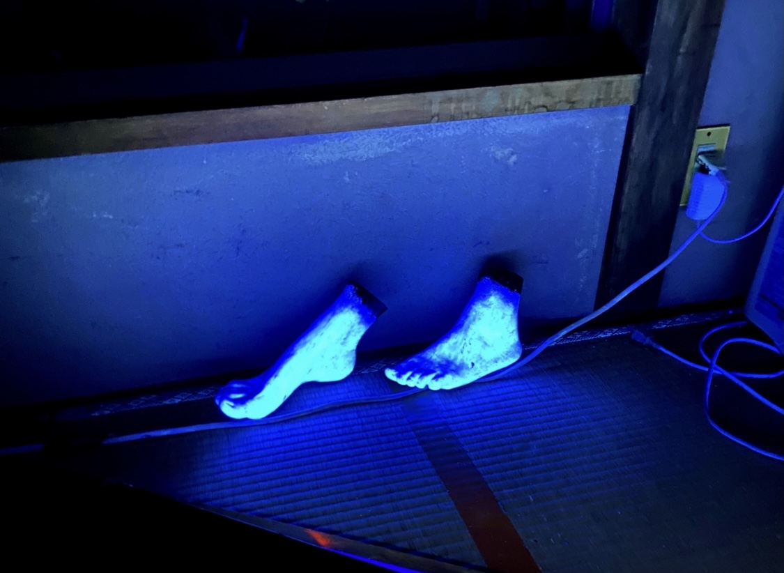 309E6076-E8A6-495C-99DC-A44992968189